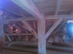 11148614_1078618612159669_8711049246892979627_n