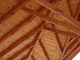 11113305_1075732869114910_823232822566422283_n