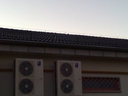 11140184_1075735392447991_6861834660898922158_o